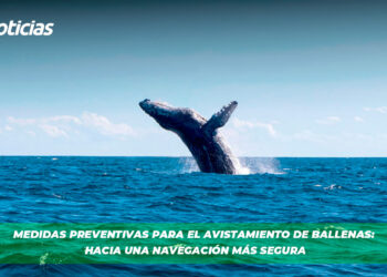 Medidas preventivas para el avistamiento de Ballenas: Hacia una navegación más segura