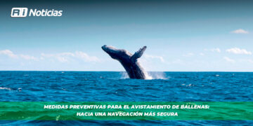 Medidas preventivas para el avistamiento de Ballenas: Hacia una navegación más segura