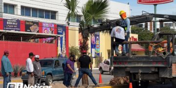 Servicios Públicos embellece camellón de la Av. Manuel J. Clouthier en Mazatlán