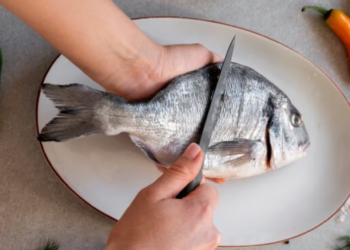El pescado que supera en proteínas al salmón; es buena fuente de Omega-3