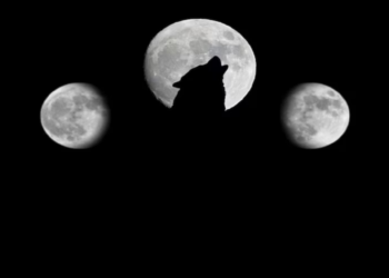 La Luna de Lobo, la primera del año; cuándo podrá disfrutarse en México