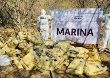 Arrebatan más de 420 millones de pesos en drogas a grupos del narco en Sinaloa
