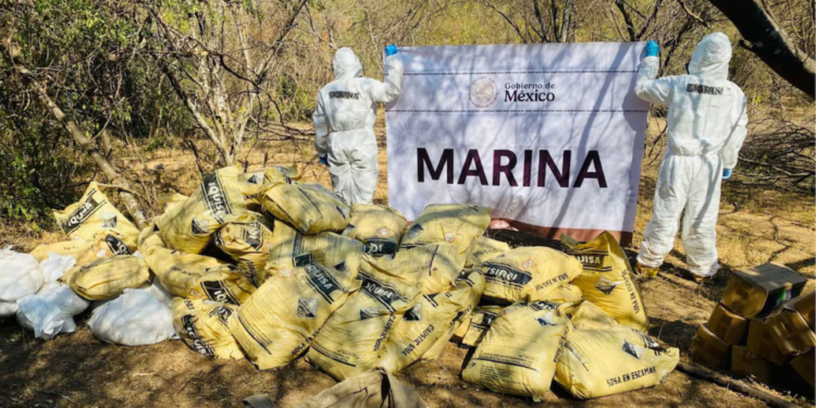 Arrebatan más de 420 millones de pesos en drogas a grupos del narco en Sinaloa