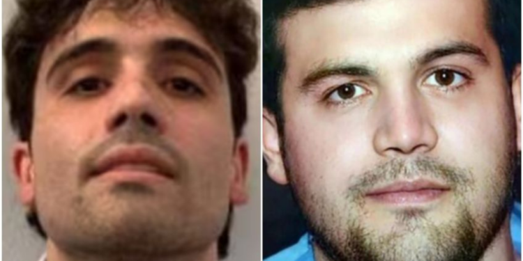 Joaquín y Ovidio Guzmán no se presentan a audiencia en Corte Federal de Chicago