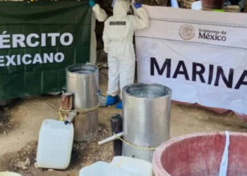 Destruyen laboratorio clandestino en Topolobampo, Sinaloa