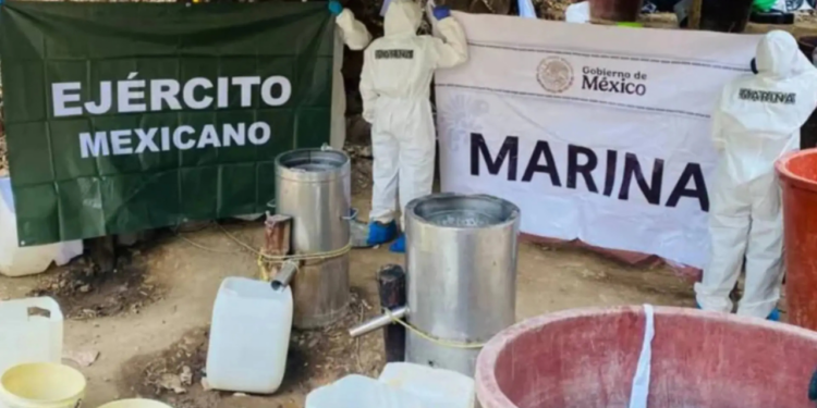 Destruyen laboratorio clandestino en Topolobampo, Sinaloa