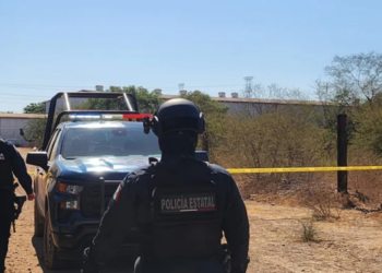 Localizan cuatro personas sin vida en distintos puntos de Culiacán este domingo: FGE