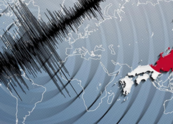 Sismo de 6.9 sacude Japón y desencadena aviso por tsunami