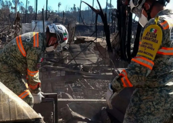 Gobierno de Sheinbaum anuncia programa de atención a mexicanos que perdieron su empleo por incendios en Los Ángeles