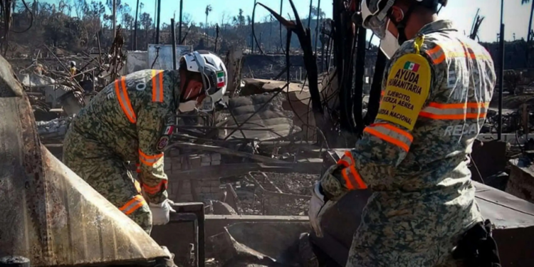 Gobierno de Sheinbaum anuncia programa de atención a mexicanos que perdieron su empleo por incendios en Los Ángeles
