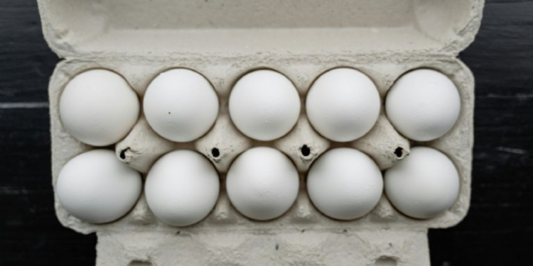 Precio del huevo llega a 180 pesos por docena en 2025, ¿Por qué?