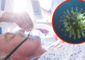OMS investiga brote de virus mortal que hace sangrar los ojos: ¿Cuáles son los síntomas?