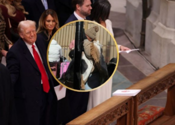 Migrantes serán “cazados” por Trump hasta en las iglesias, ordena redadas especiales