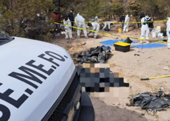 Sheinbaum promete investigar hallazgo de 72 cuerpos en fosas clandestinas de Chihuahua