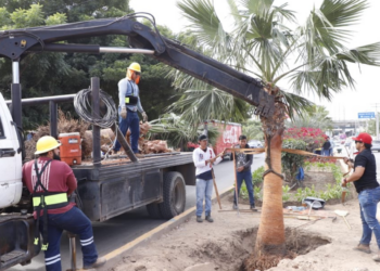 Llega “Camino de Colores” a la avenida Manuel J. Clouthier