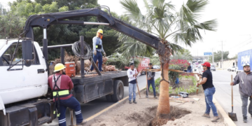 Llega “Camino de Colores” a la avenida Manuel J. Clouthier
