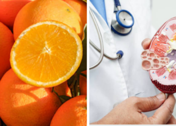 Esto es lo que les pasa a tus riñones si comes naranjas todos los días, según un nefrólogo