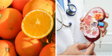 Esto es lo que les pasa a tus riñones si comes naranjas todos los días, según un nefrólogo