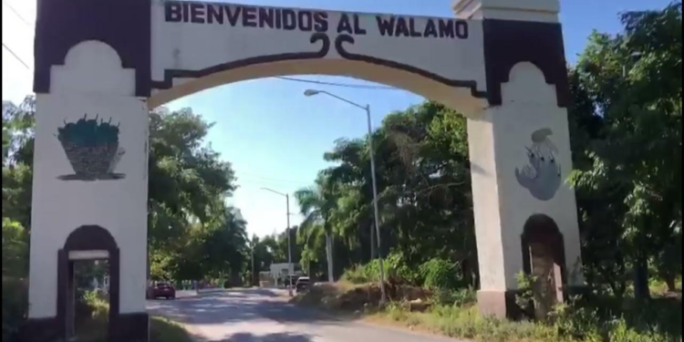 Localizan cuerpo sin vida de un hombre en El Wálamo Sinaloa