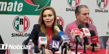 Morena debe usar su poder para construir, no destruir al país: Paola Gárate