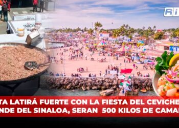 Altata latirá fuerte con la fiesta del Ceviche más grande del Sinaloa, serán 500 kilos de camarón