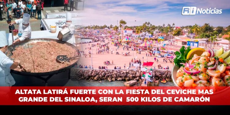 Altata latirá fuerte con la fiesta del Ceviche más grande del Sinaloa, serán 500 kilos de camarón