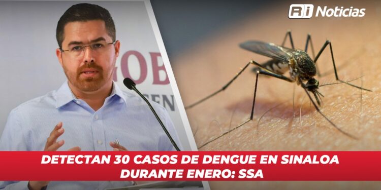 Detectan 30 casos de dengue en Sinaloa durante enero: SSA