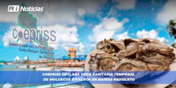 COEPRISS declara veda sanitaria temporal de moluscos bivalvos en bahías Navolato