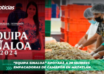“Equipa Sinaloa” Apoyará a 28 mujeres empacadoras de camarón en Mazatlán
