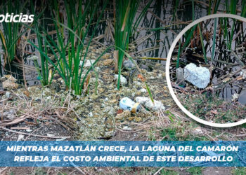 Mientras Mazatlán crece, la Laguna del Camarón refleja el costo ambiental de este desarrollo