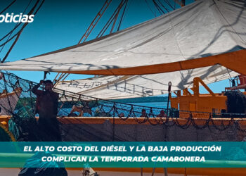 El alto costo del diésel y la baja producción complican la temporada camaronera