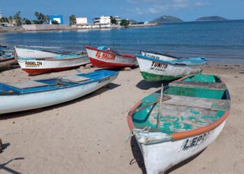 No hay recurso municipal para el sector pesquero en Mazatlán