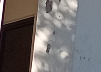 Gatilleros atacan a balazos una vivienda de la colonia Lázaro Cárdenas en Culiacán