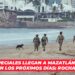 Fuerzas especiales llegan a Mazatlán y llegarán más en los próximos días: Rocha Moya