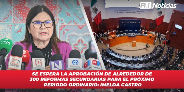 Se espera la aprobación de alrededor de 300 reformas secundarias para el próximo periodo ordinario: Imelda Castro