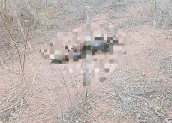 Rastreadoras localizan cuerpo en una brecha por la avenida Peche Rice