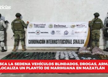 Confisca la SEDENA vehículos blindados, drogas, armas y localiza un plantío de marihuana en Mazatlán