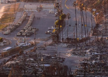 Sheinbaum reconoce a Ejército por combatir incendios en California