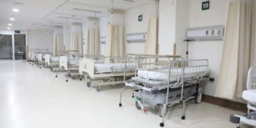 No hay motivo para emitir una alerta en México por metapneumovirus: Kershenobich