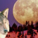 Qué es la luna del lobo que inspiró a Google para el doodle de hoy 23 de enero