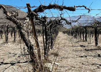 Cambio climatico agravará las sequías, que serán más largas e intensas