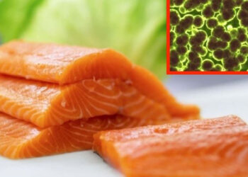 Emiten urgente ALERTA SANITARIA por SALMÓN de venta en famoso supermercado, está contaminado con peligrosa BACTERIA