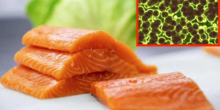 Emiten urgente ALERTA SANITARIA por SALMÓN de venta en famoso supermercado, está contaminado con peligrosa BACTERIA