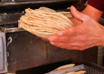 Precio de la tortilla: ¿En qué estado se vende más caro el kilo de este producto esencial para los mexicanos?