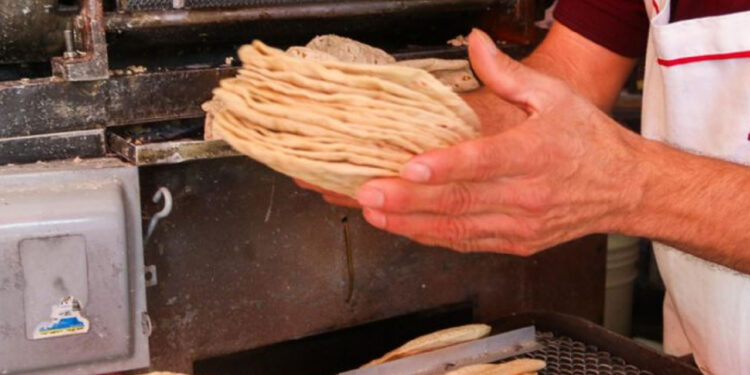 Precio de la tortilla: ¿En qué estado se vende más caro el kilo de este producto esencial para los mexicanos?