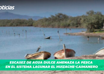 Escasez de agua dulce amenaza la pesca en el sistema lagunar El Huizache-Caimanero