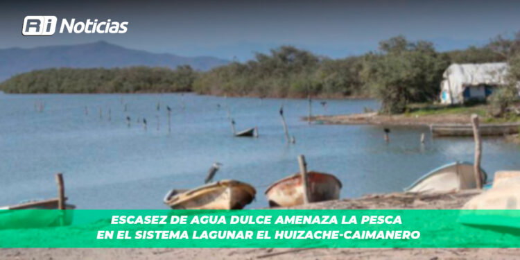 Escasez de agua dulce amenaza la pesca en el sistema lagunar El Huizache-Caimanero