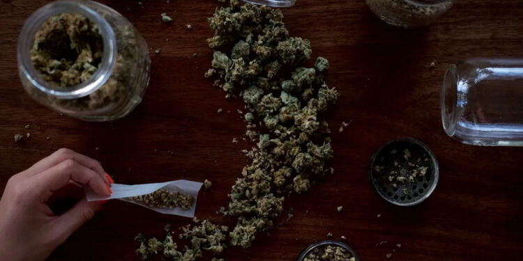 Sheinbaum confirma que se repetirá la encuesta nacional sobre adicciones