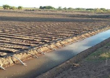 Productores buscan alternativas para optimizar recursos hídricos