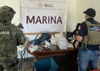 Operación Frontera Norte: Suman 559 detenidos y 513 armas aseguradas